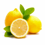 Fruit